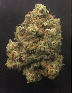 User uploaded image of Madzilla