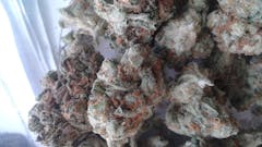 User uploaded image of Magnum PI