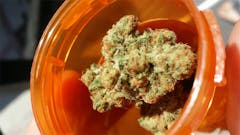 User uploaded image of Mai Tai Cookies