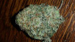 User uploaded image of Majestic 12