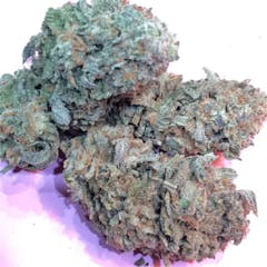 User uploaded image of Majestic 12