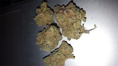 User uploaded image of Mako Haze
