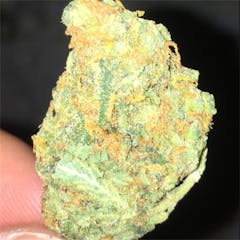 User uploaded image of Mako Haze