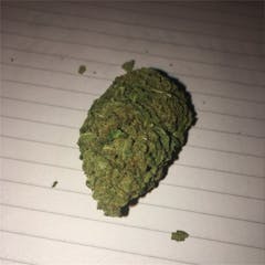User uploaded image of Mako Haze