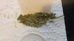 User uploaded image of Malakoff