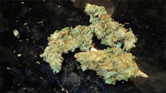 User uploaded image of Malawi