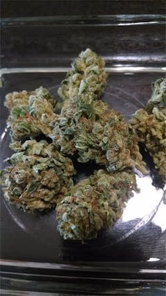 User uploaded image of Malawi