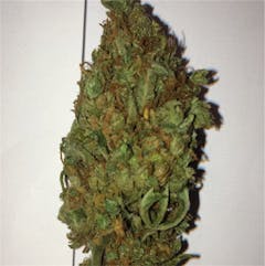 User uploaded image of Malawi