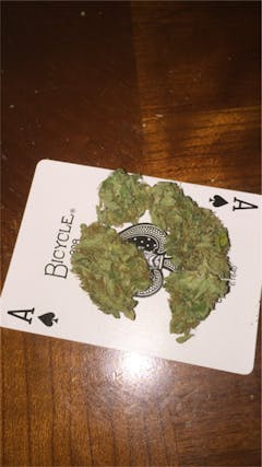 User uploaded image of Malawi