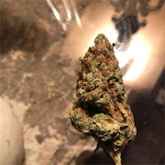 User uploaded image of Mammoth