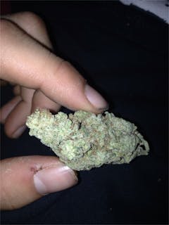 User uploaded image of Mammoth