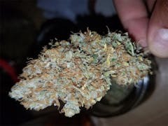 User uploaded image of Mammoth