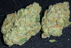 User uploaded image of Mammoth