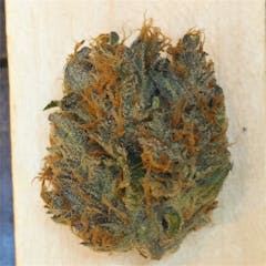 User uploaded image of Mammoth