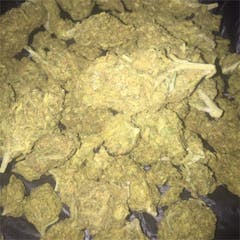 User uploaded image of Mango Dream