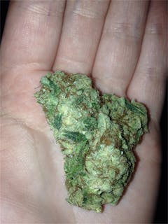 User uploaded image of Mango Dream