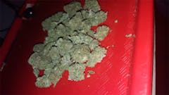 User uploaded image of Mango Dream