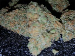 User uploaded image of Mango Dream