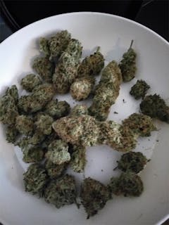 User uploaded image of Mango Dream