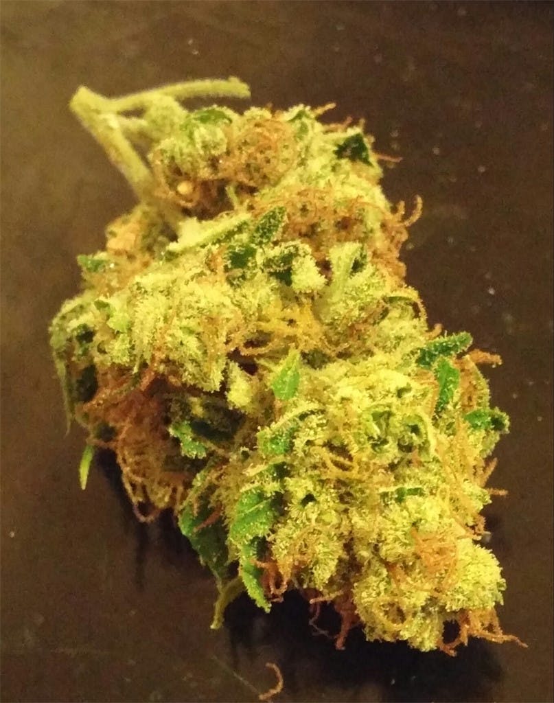 Photos of Mango Haze Weed Strain Buds Leafly