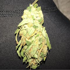 User uploaded image of Mango Haze