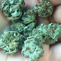 User uploaded image of Mango Haze