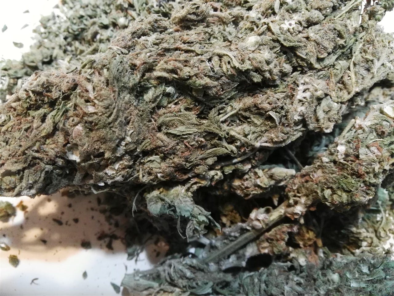 Mango Haze Weed Strain Information Leafly