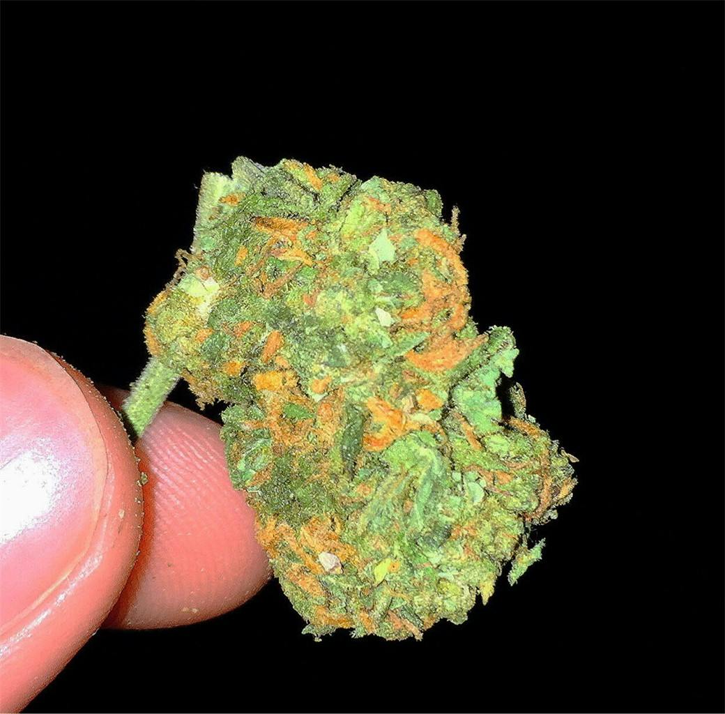 Photos of Mango Haze Weed Strain Buds Leafly