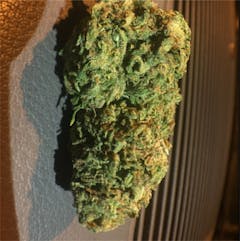 User uploaded image of Mango Kush