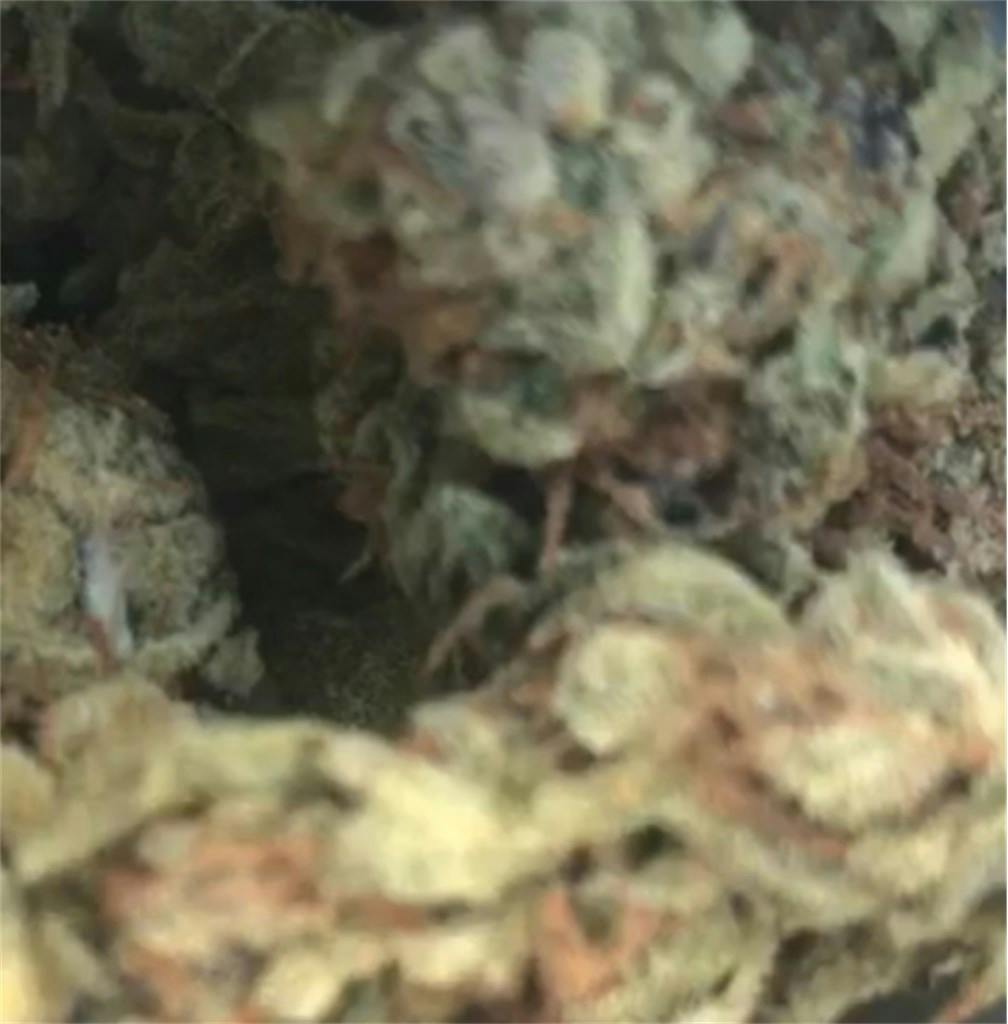 Mango Kush Weed Strain Information Leafly