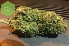 User uploaded image of Mango Kush