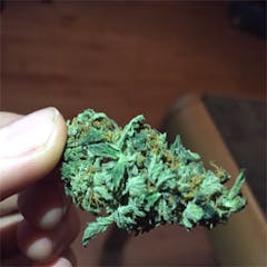 User uploaded image of Mango Kush