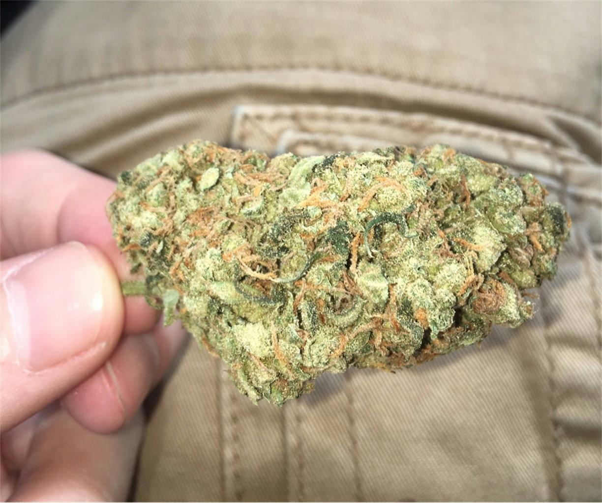 Photos of Mango Kush Weed Strain Buds Leafly