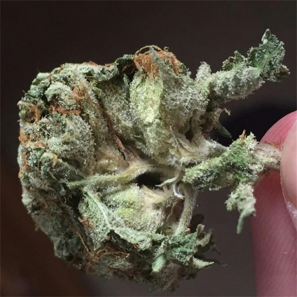 Mango Kush Weed Strain Information Leafly