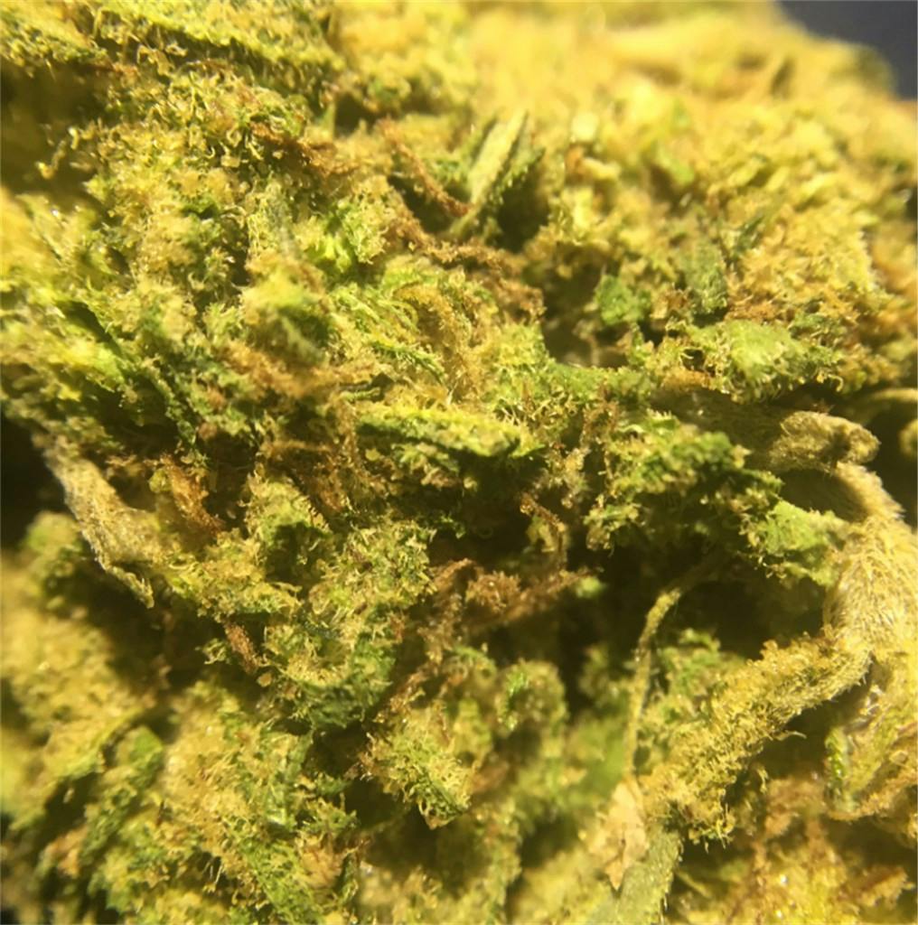 Mango Kush Weed Strain Information Leafly