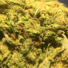 User uploaded image of Mango Kush
