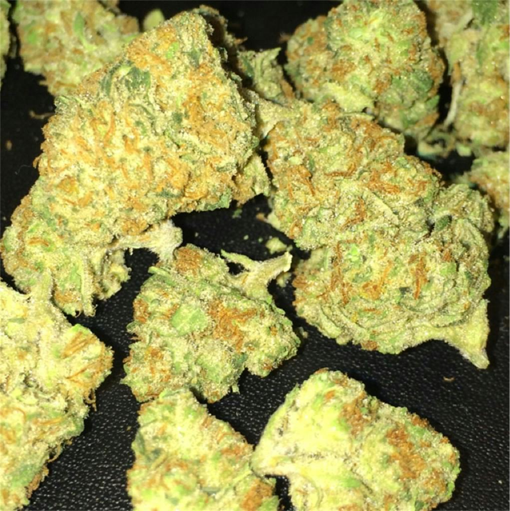 Photos of Mango Kush Weed Strain Buds Leafly