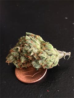 User uploaded image of Mango Tango