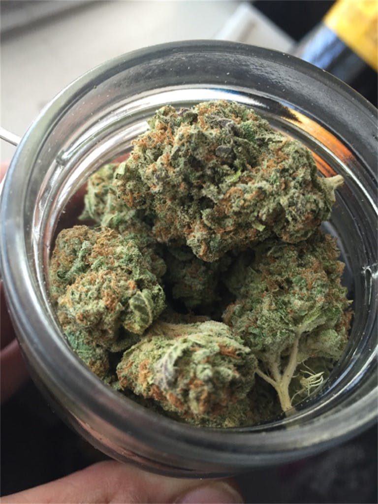 Mango Tango Weed Strain Information Leafly