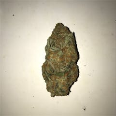 User uploaded image of Mango Tango