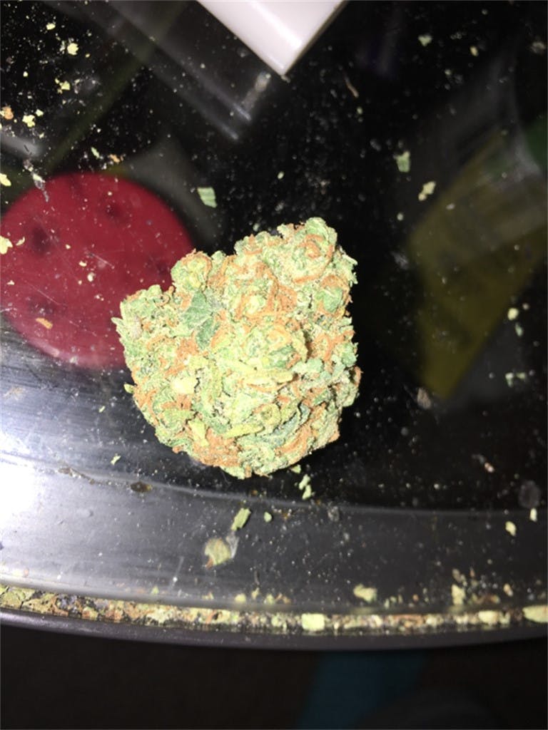 Photos of Mango Weed Strain Buds Leafly