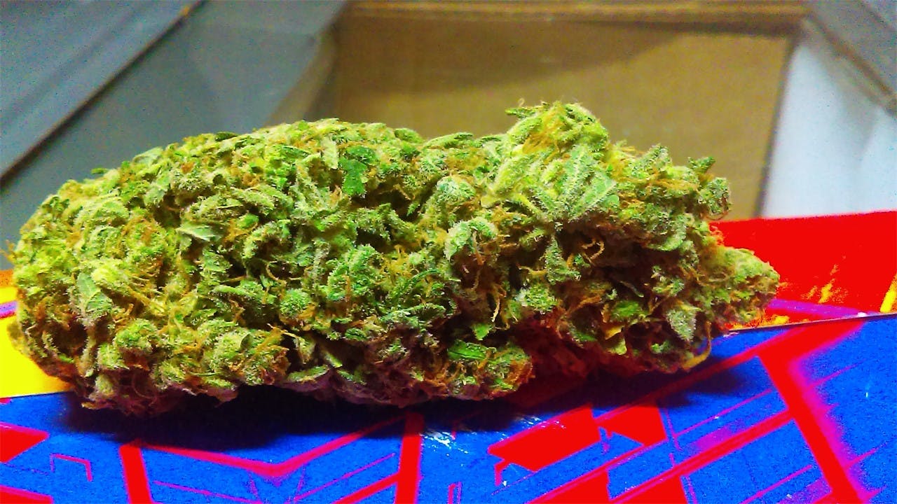 Photos of Mango Weed Strain Buds Leafly