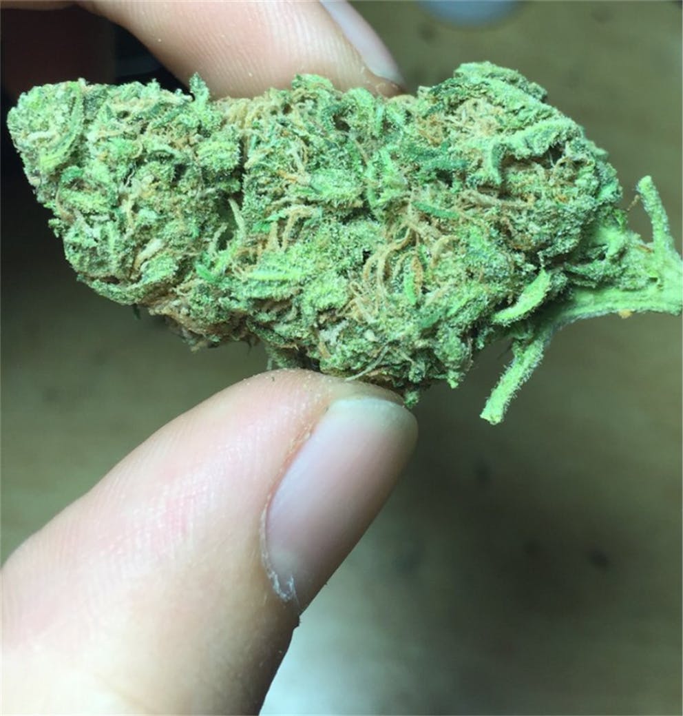 Photos of Mango Weed Strain Buds Leafly