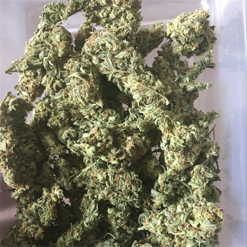 Mango aka Mango OG Weed Strain Information Leafly