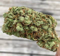 User uploaded image of Mango