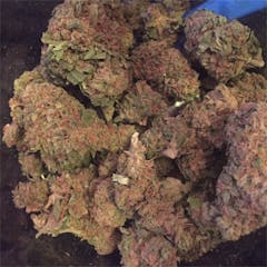 User uploaded image of Mango