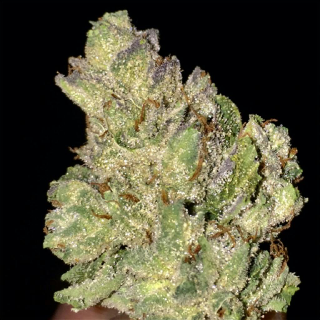 Mango aka Mango OG Weed Strain Information Leafly