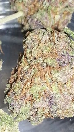 User uploaded image of Manitoba Poison