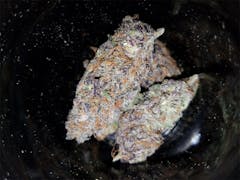 User uploaded image of Marionberry Kush
