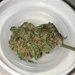 User uploaded image of Marionberry Kush